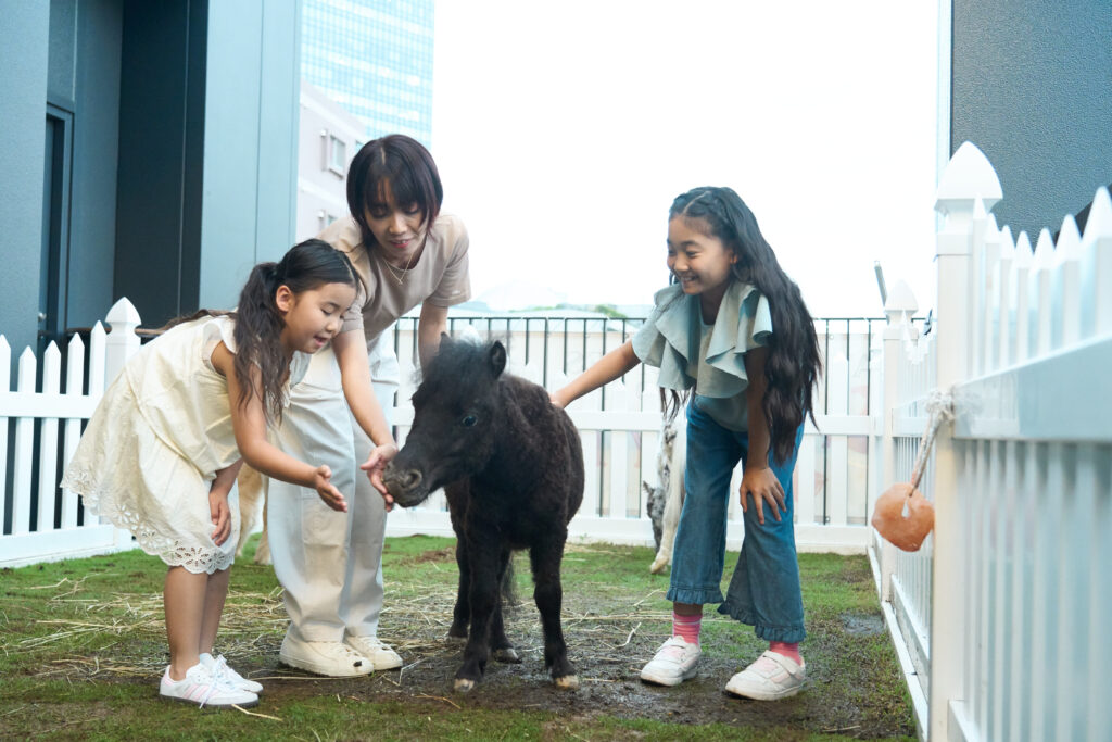 馬たちとの触れ合いタイム