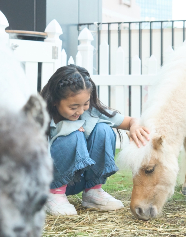 A Child Interacting with a Horse